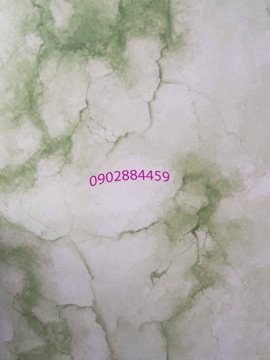 Sơn giả đá đẹp mặt tiền màu xanh